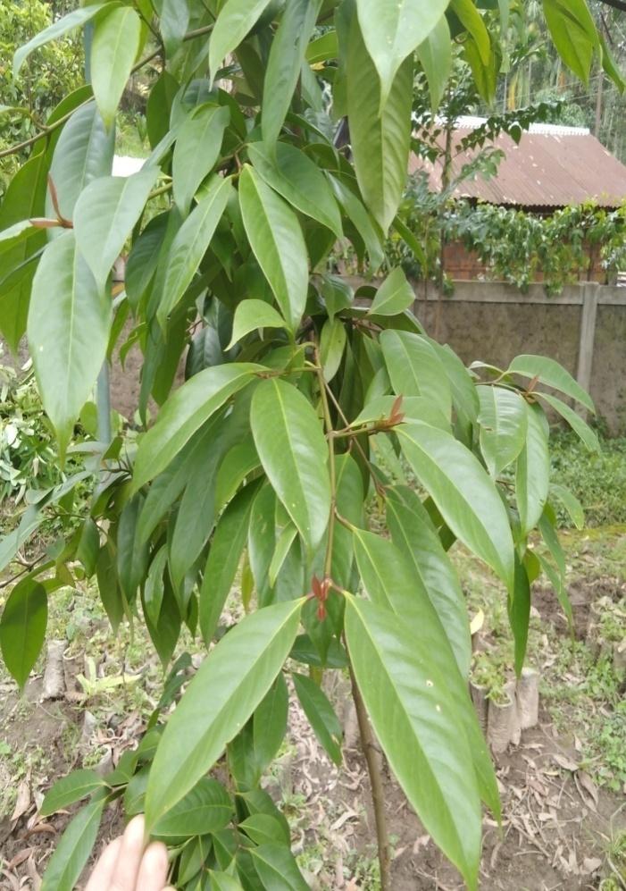 IMG20190611122036.jpg